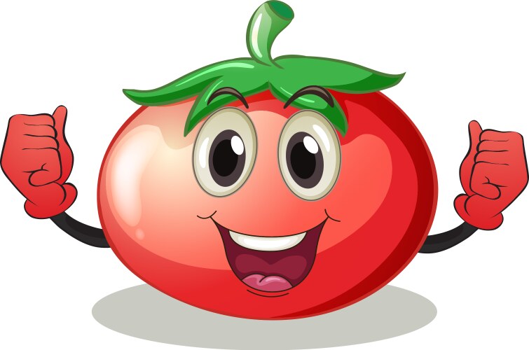 Tomato Royalty Free Vector Image - VectorStock
