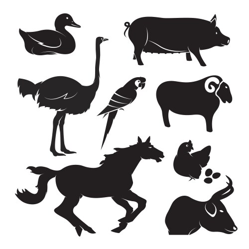 Farm group Vector Image