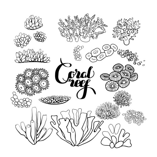 Collection of coral reef elements Vector Image
