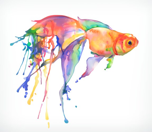 Goldfish vector image