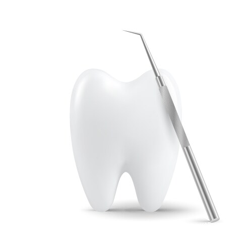 3d realistic tooth and dental probe vector image