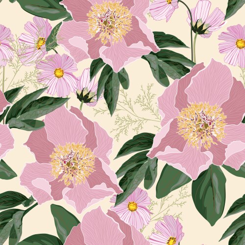 Pink Peony Floral Background Vector Image