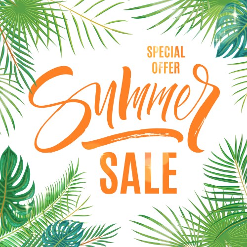 Summer Sale Palm Leaves Vector Image