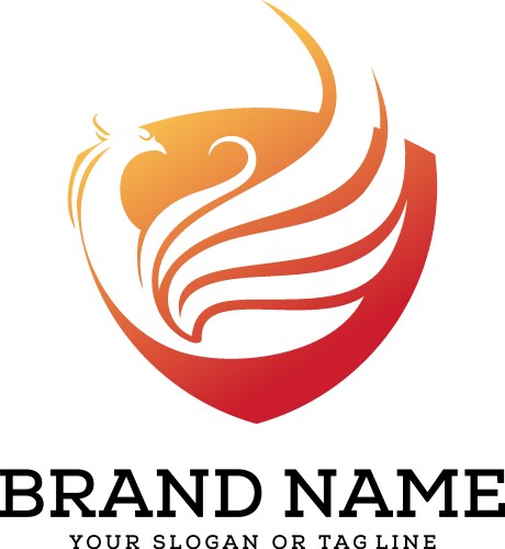 Logo design phoenix template white background vector image