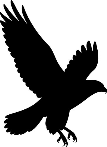 Falcon Silhouette Vector Image