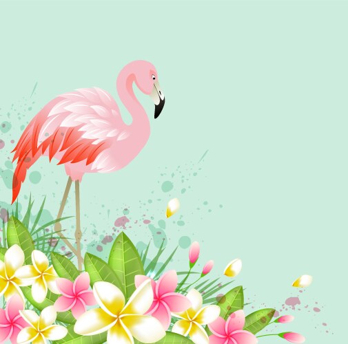 Tropical Pink Flamingo Floral Background Vector Image