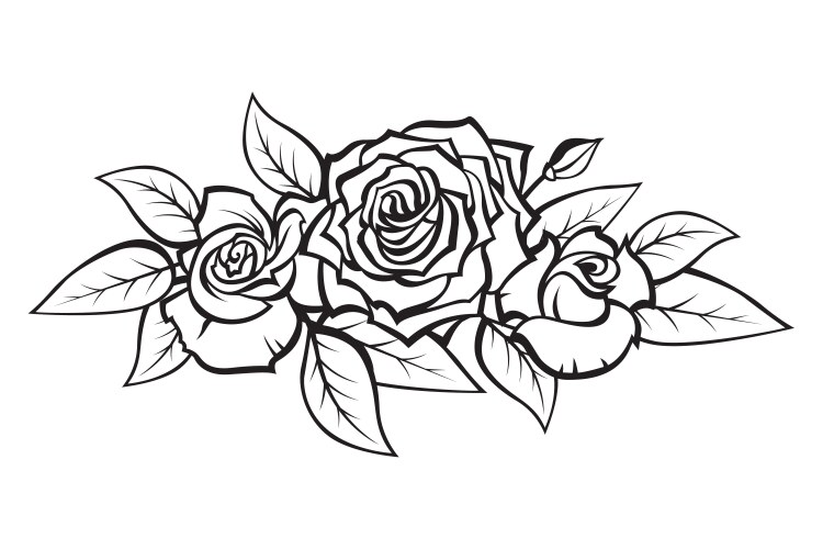 Elegant Rose Bouquet Vector Image