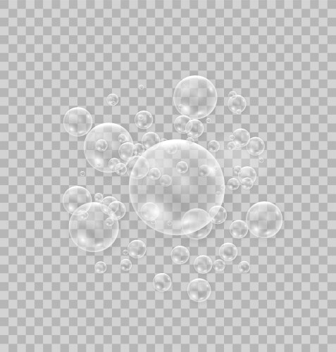 realistic soap bubbles vector image