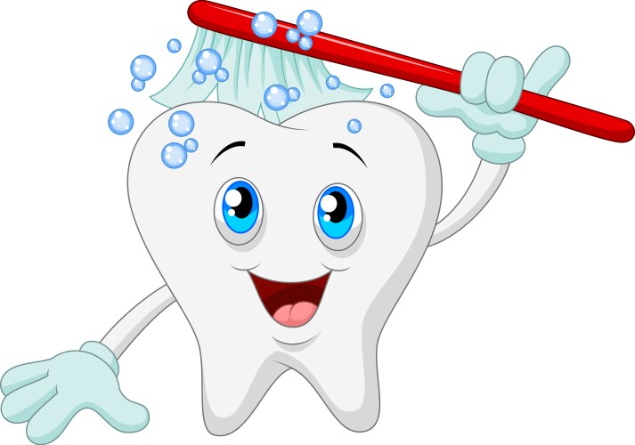 Happy tooth brushing vector image