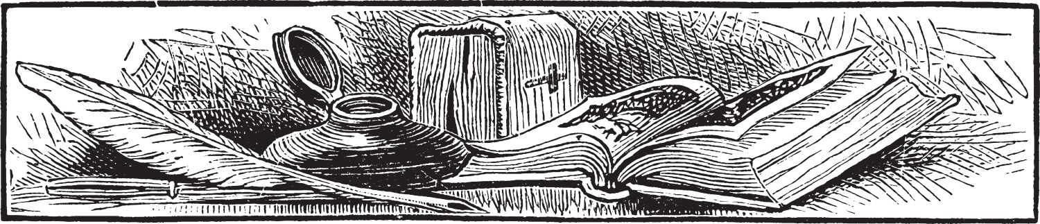 Pen and quill shape vintage engraving Vector Image