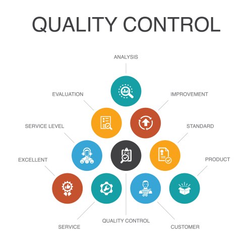 quality control infographic 10 steps concept vector image vector image