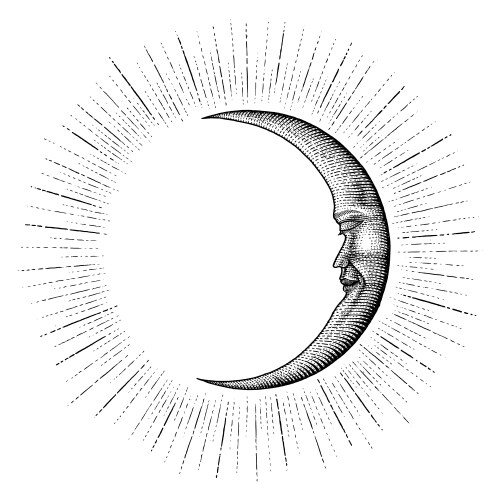 Moon Hand Drawing - Alchemy Symbol Vector Image