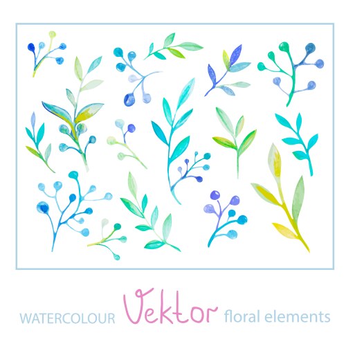 Watercolor Floral Elements Set Vector Image