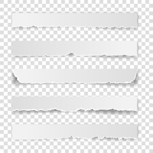 Set torn white note vector image