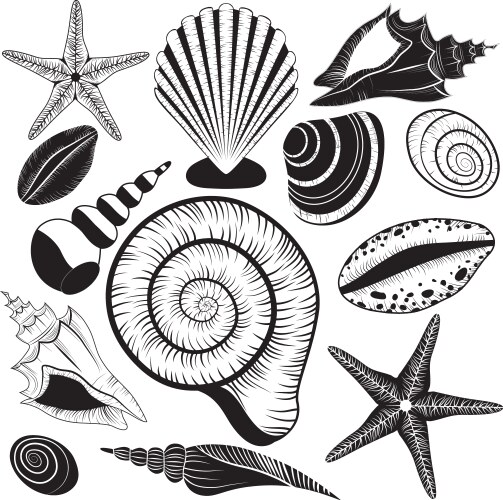 Sea shells seashell silhouettes set Royalty Free Vector