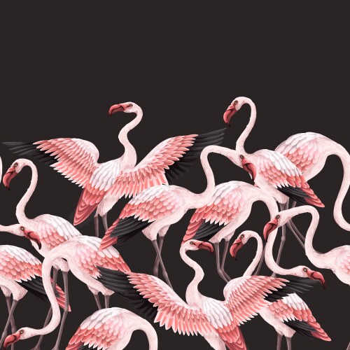 Flamingo drawing Vector Images & Graphics for Commercial Use