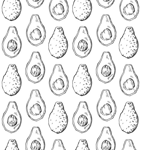 Seamless pattern with avocado sketch in row vector image
