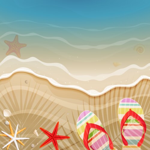 Shells and starfishes Royalty Free Vector Image
