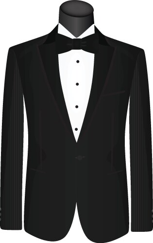 Formal Man Suit Royalty Free Vector Image - VectorStock