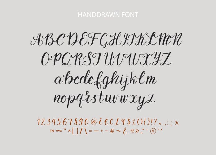 Handdrawn script font brush style texture vektorbild