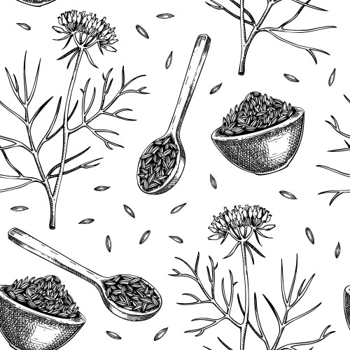 Cumin Vector Images (over 2,100)