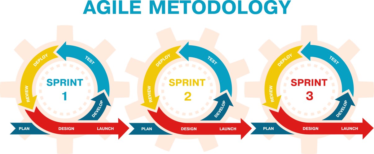 Agile project management development methodology vector image