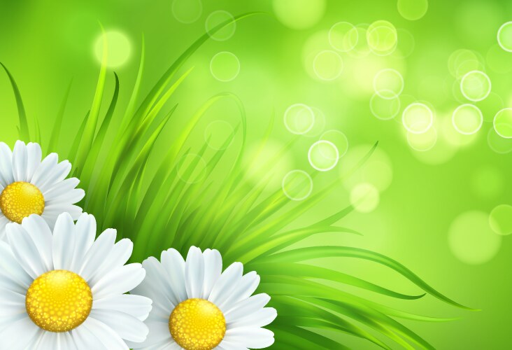 Natural background with green spring leaves Vector Image