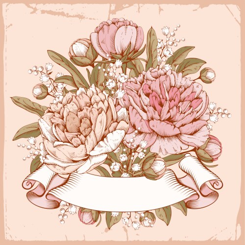 Peonies Royalty Free Vector Image - VectorStock