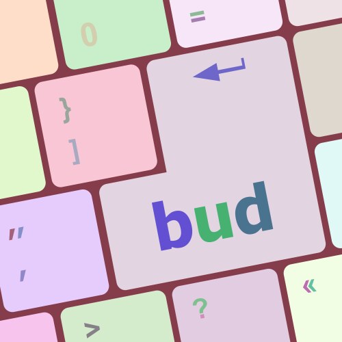 Button with bud word on computer keyboard keys vector image