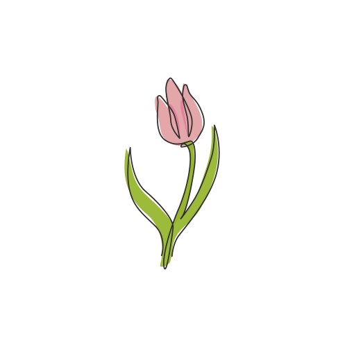 One single line drawing of beauty fresh tulip vector image