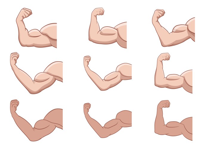 muscle arm design isolated on white background vector image