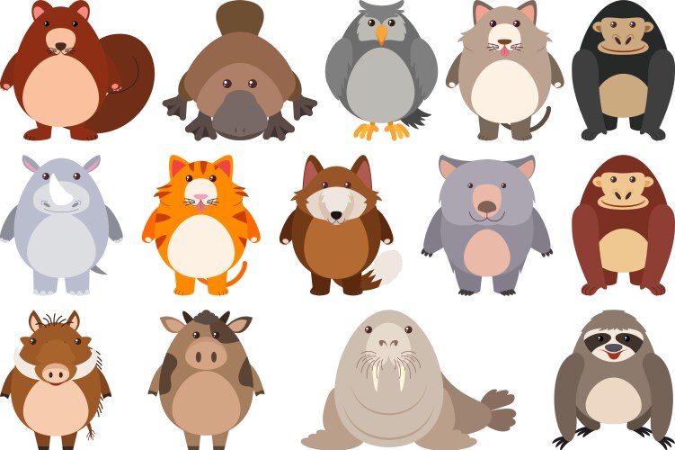 Vector Kinclong Kingkong Vector Images (96)