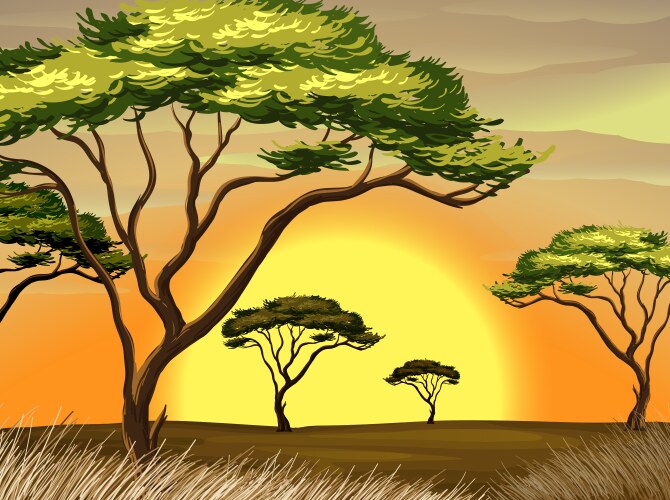 A sunset view at the forest Vector Image