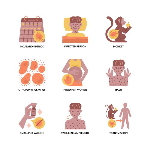Monkeypox transmission infographics Royalty Free Vector