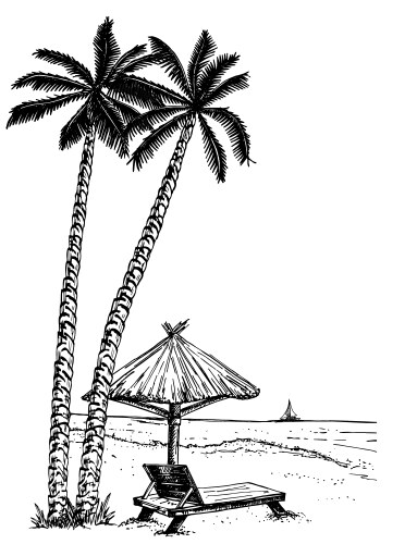 Seaside Beach Sketch - Palm & Parasol Vector Image