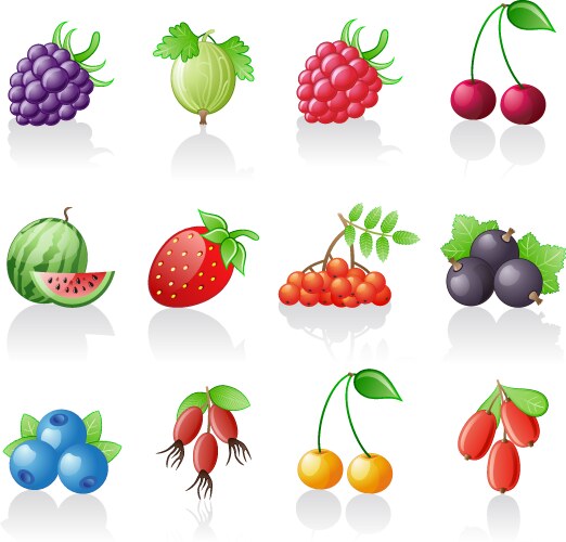 Berries set strawberry Royalty Free Vector Image