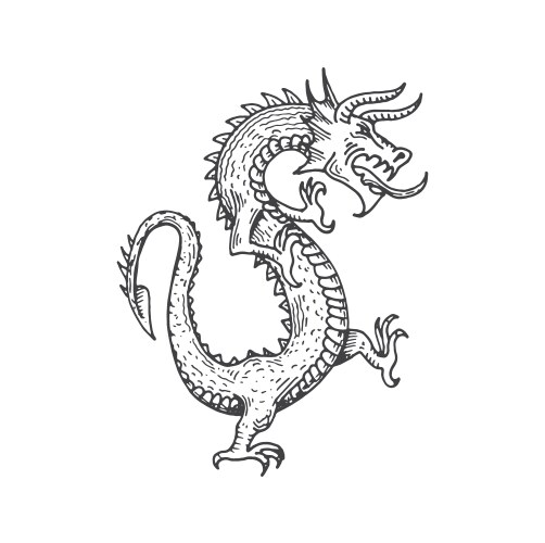 dragon medieval heraldic animal monster sketch vector