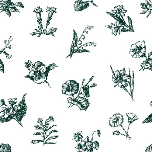 Pattern of the sketches different flowers Vector Image