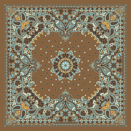 Paisley Bandana Print Vector Image