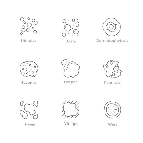 Set line icons of skin disease vector image