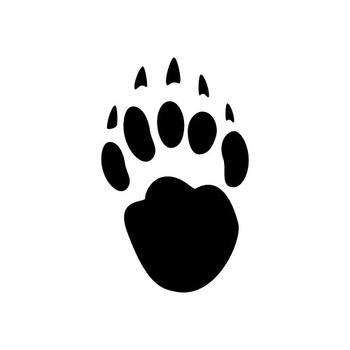 Bear Footprints in Snow Vector Image