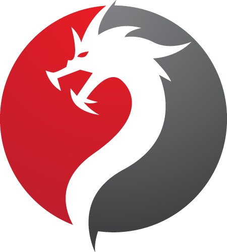 dragon icon vector image