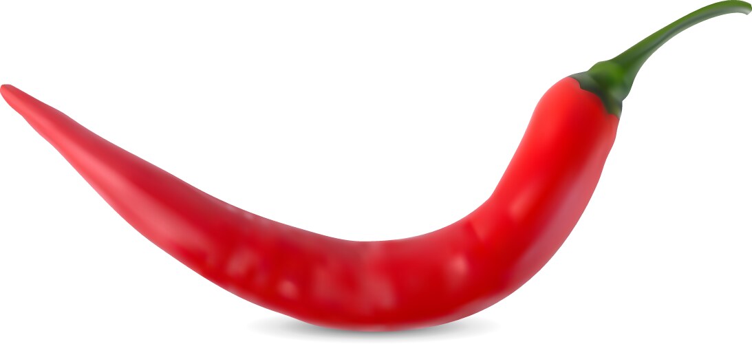 Red hot chili pepper realistic 3d Royalty Free Vector Image