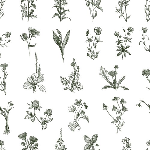 Seamless pattern sketches various Vector Image