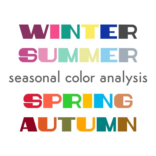 seasonal color analysis palettes vector image