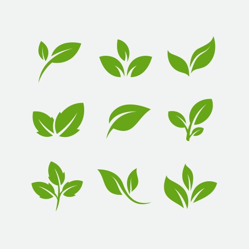 Green leaf icons collection Royalty Free Vector Image