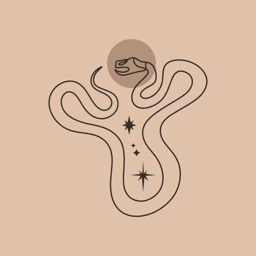 Boho mystic snake doodle esoteric astrology Vector Image