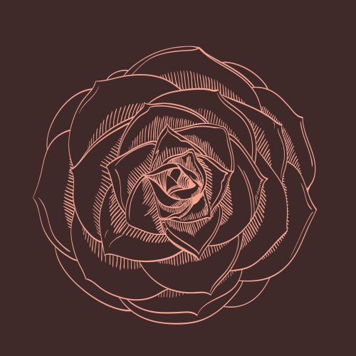 Hand-drawing flower Vector Image