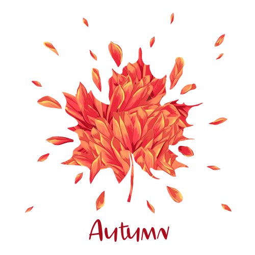 Hello autumn watercolor floral design maple leaf Vector Image