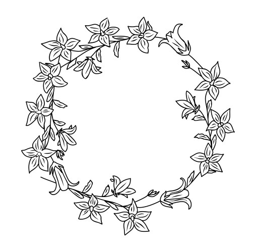 hand drawn botanical wreath line art vector image